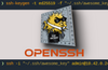 Basic Usage of  OpenSSH