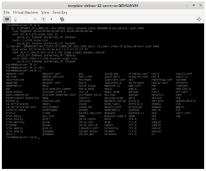 Changing the Resolution and Font Type in Debian Server